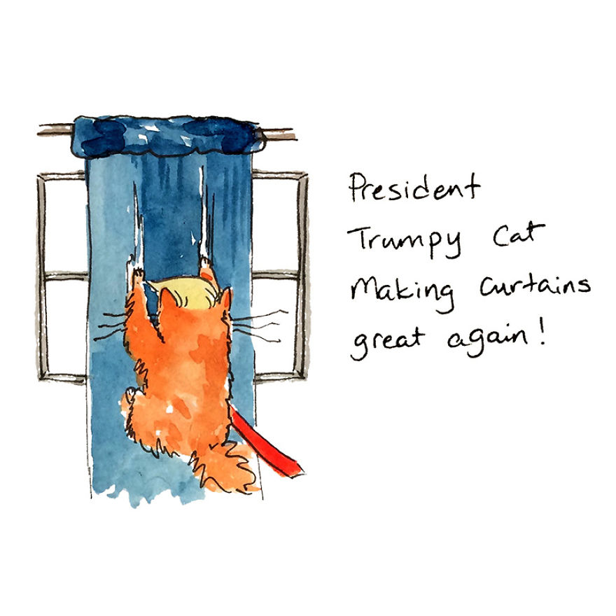 The Adventures Of President Trumpy Cat