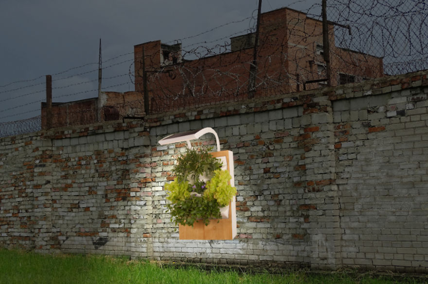 Make Vegetables, Not Walls, With Herbert