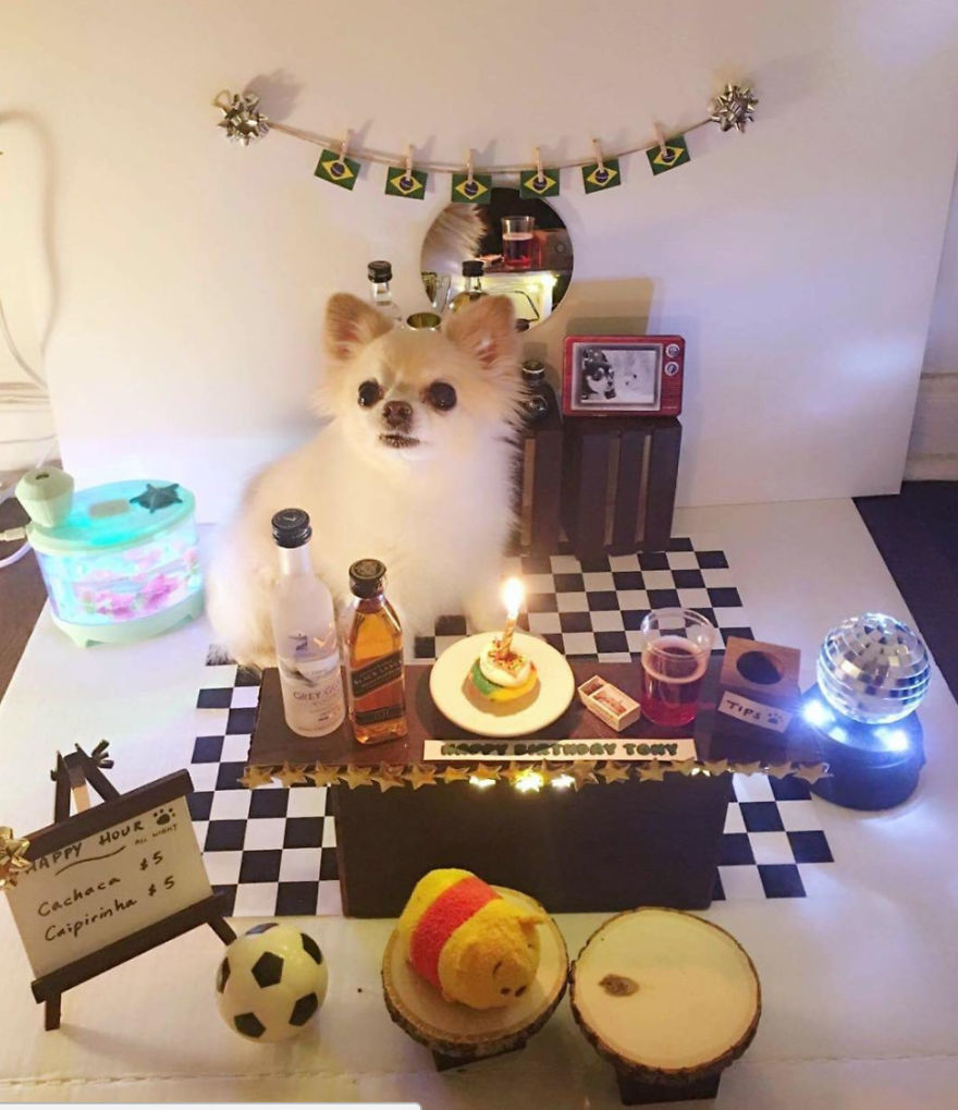 Little Chihuahua Riceball And His Miniature Room