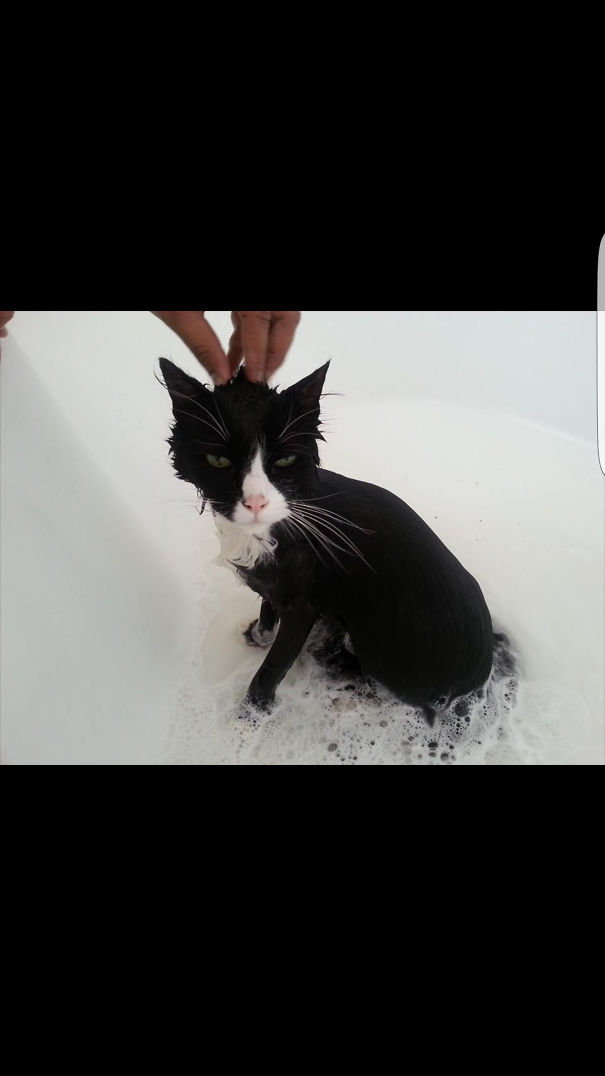 James Having A Bath For The First Time