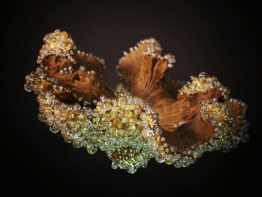 Sculpture Like Gem Inspired By Nature Sculpture Like Gem Inspired By Nature