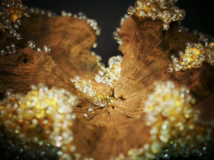 Sculpture Like Gem Inspired By Nature Sculpture Like Gem Inspired By Nature