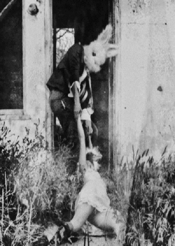 Teod | 13 Viral Photos - Fact Or Fiction