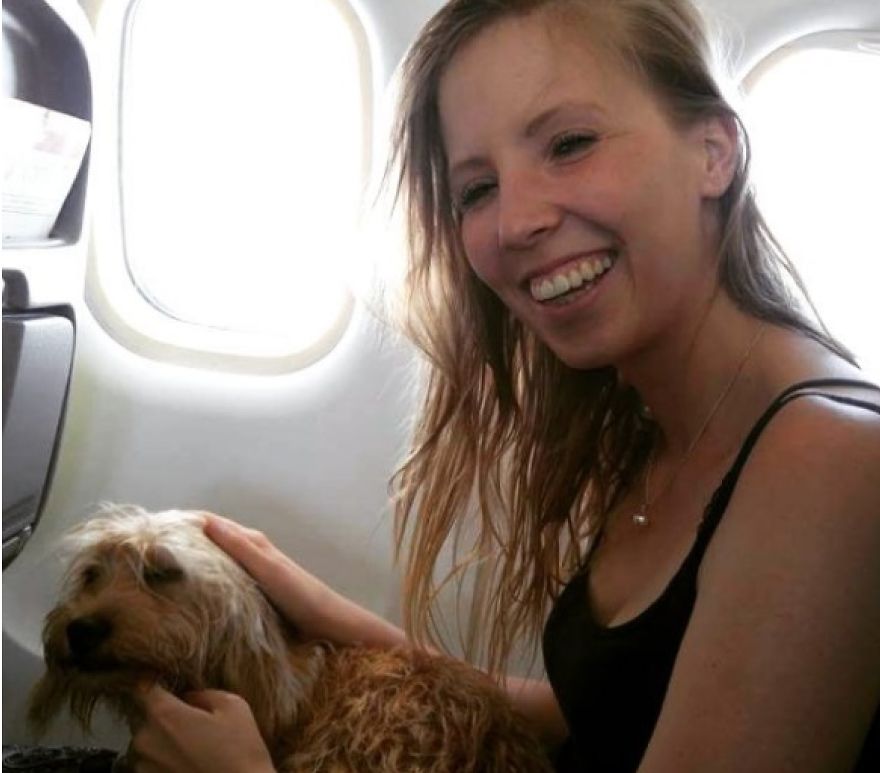 This Little Stray Dog Ended Up Travelling The World With Her New Mom!
