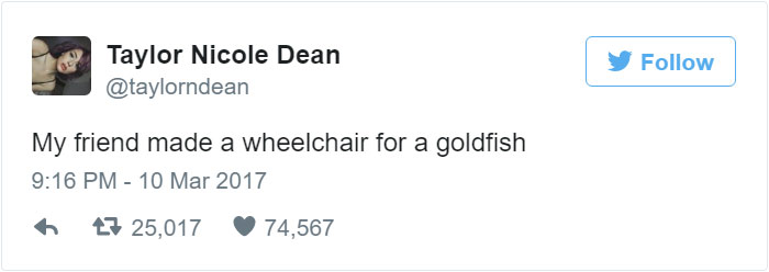 Sick Fish Couldn't Stay Afloat, So This Guy Built Him A Tiny Wheelchair