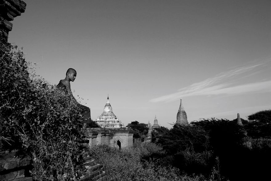The Novices Of Pagodaland The Novices Of Pagodaland