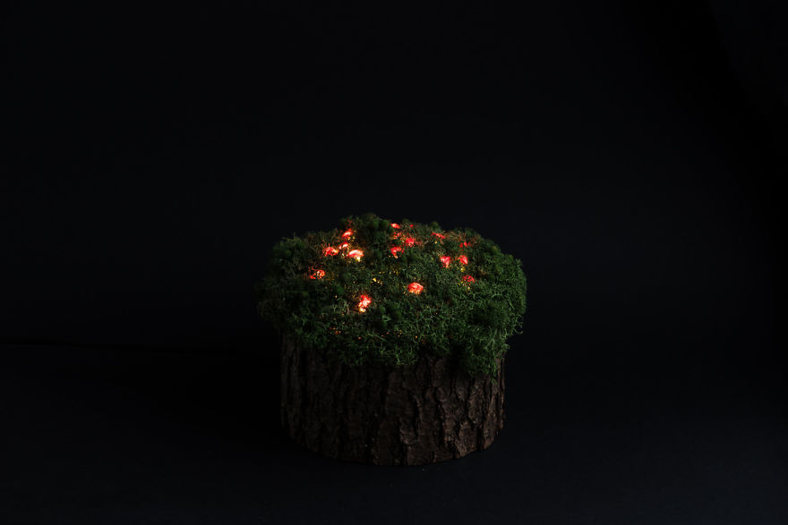 We Make Unique Lamps From Real Crystals And Moss