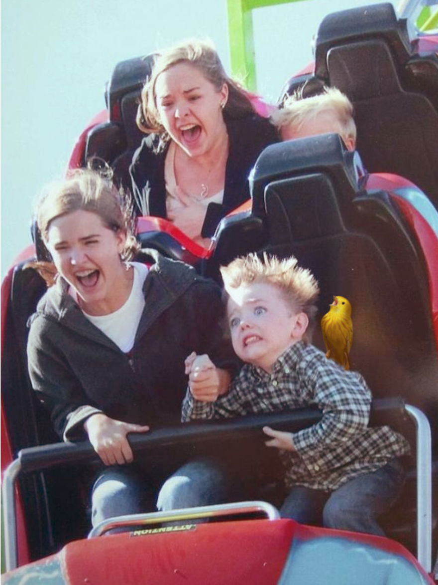 Screaming Bird On The Rollercoaster