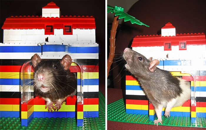 Lego Rat Cave 
