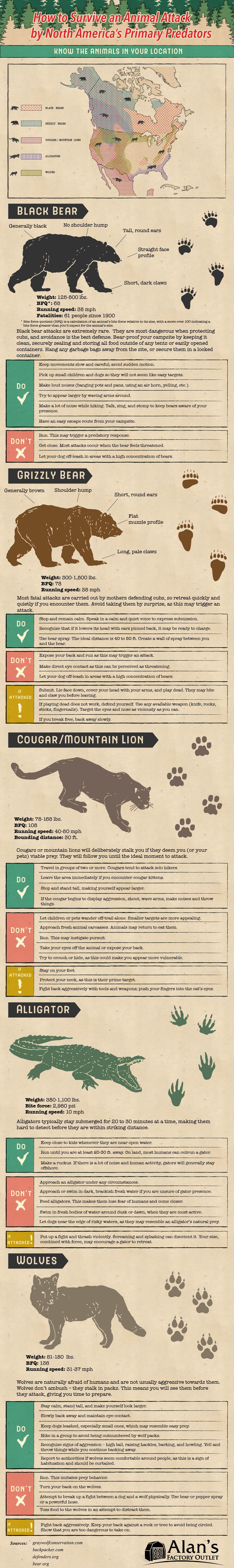 How To Survive An Animal Attack By North America's Primary Predators