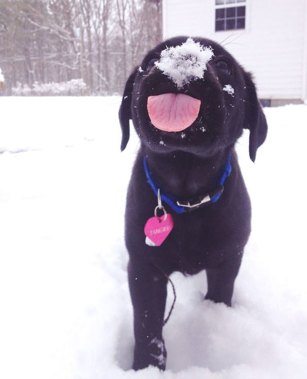 First Snow For This Sweet Little Girl