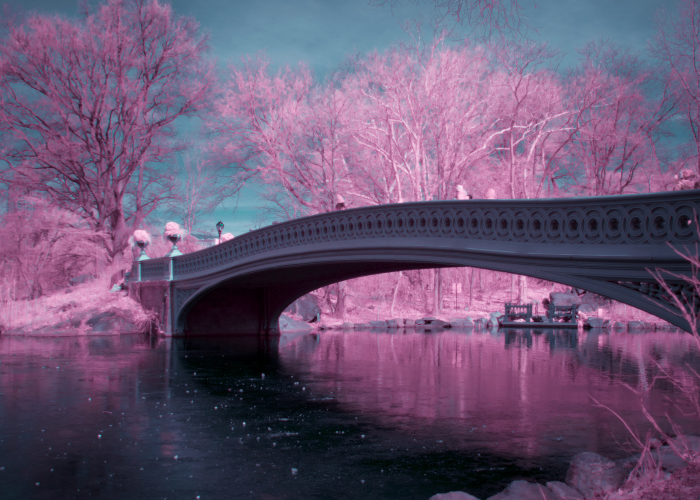 I Captured How New York Would Look Like If You Saw It In Infrared