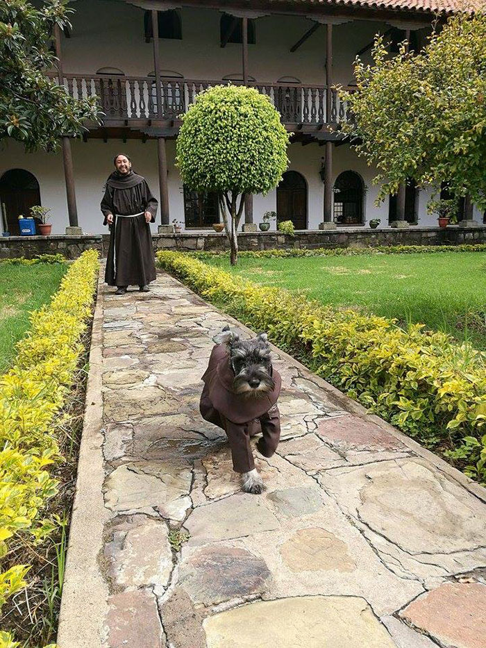 This Monastery Adopted A Stray Dog, Now He Enjoys His Life As A Monk