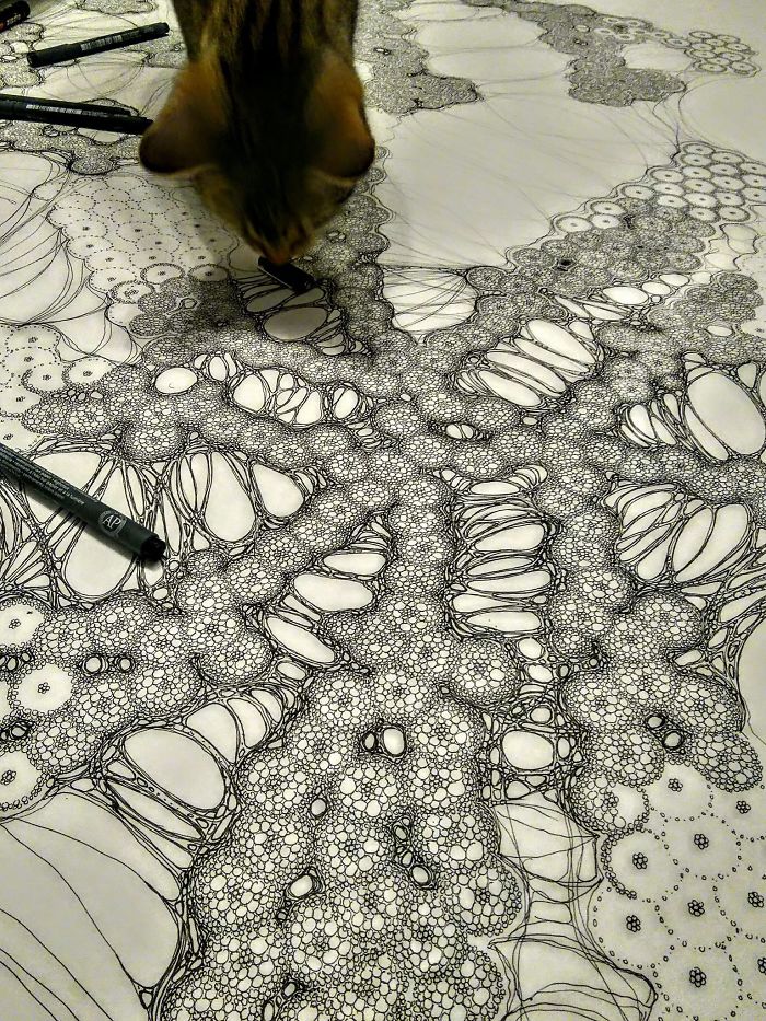 Intricate Drawings That I Create On Any Kind Of Surface