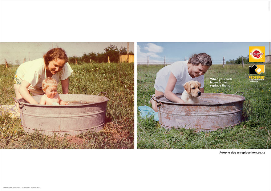 These Dog Adoption Ads Are Brutally Funny