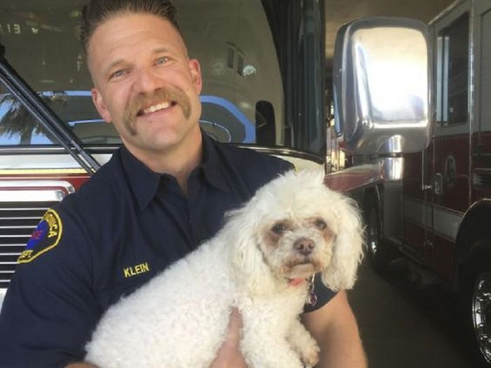 Firefighter Won't Let This Dog Die After Pulling Him From A Burning Home, Performs Mouth-To-Mouth