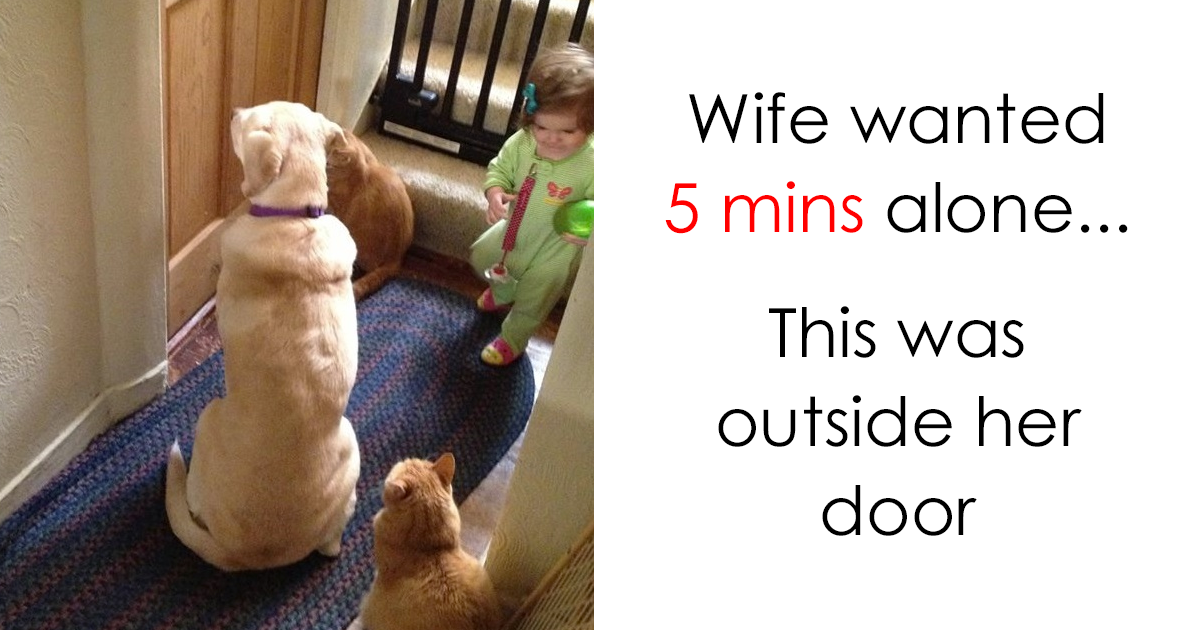 202 Parenting Memes That Will Make You Laugh Out Loud