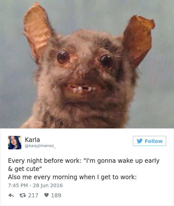 40 Funny Memes About Work That You Shouldn T Be Reading At Work