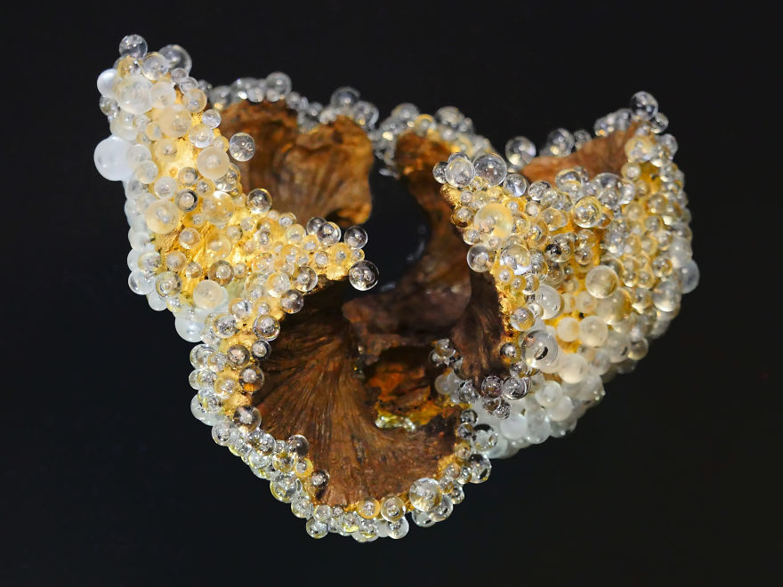 Sculpture Like Gem Inspired By Nature Sculpture Like Gem Inspired By Nature