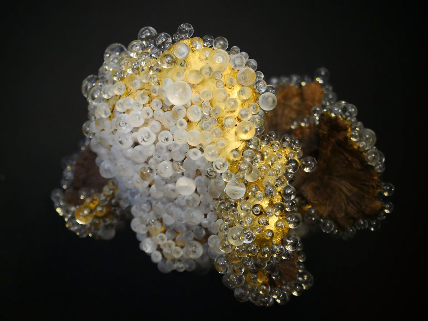 Sculpture Like Gem Inspired By Nature Sculpture Like Gem Inspired By Nature