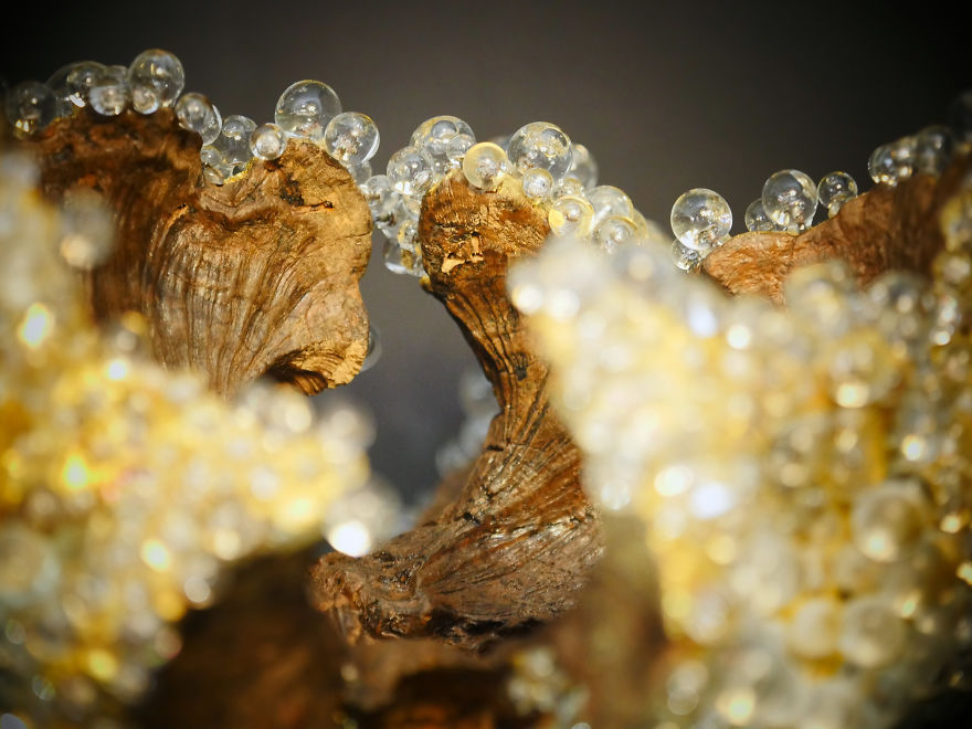 Sculpture Like Gem Inspired By Nature Sculpture Like Gem Inspired By Nature