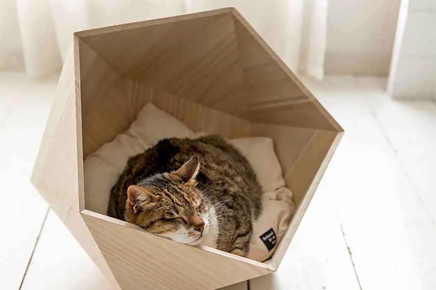 Geometric Pet Beds To Please Your Master's Sophisticated Taste