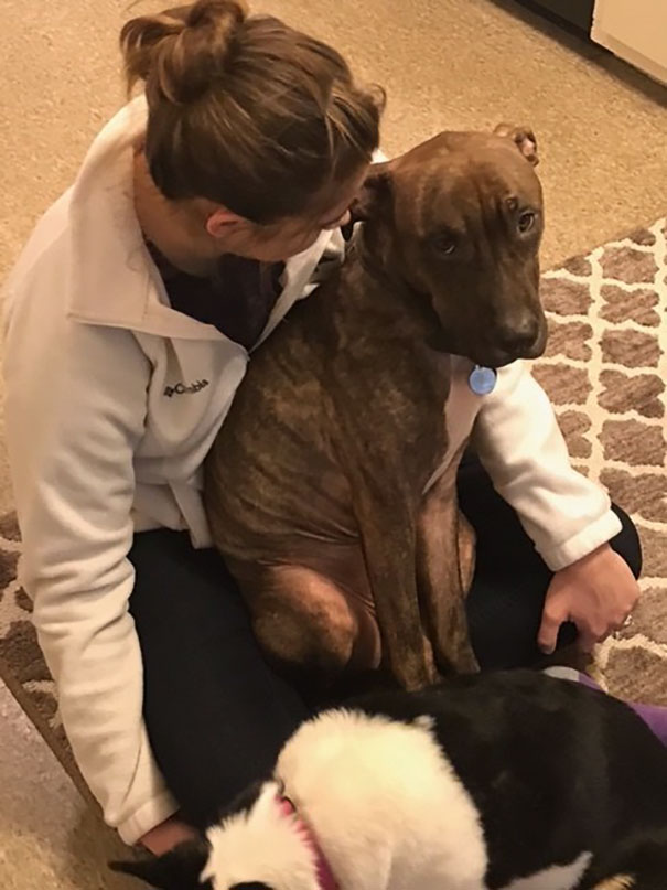 Dog Rescued 1 Year Ago Still Continues To Hug His New Mom Every Day She Comes Back Home