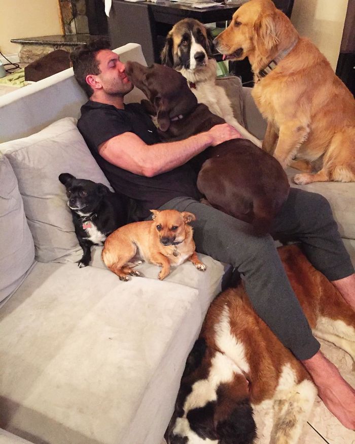 This Man Won't Stop Adopting Rescue Animals, And Here's How He Lives