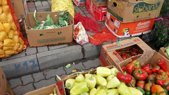 How We Started The Fight Against Food Waste In Aiud, Romania