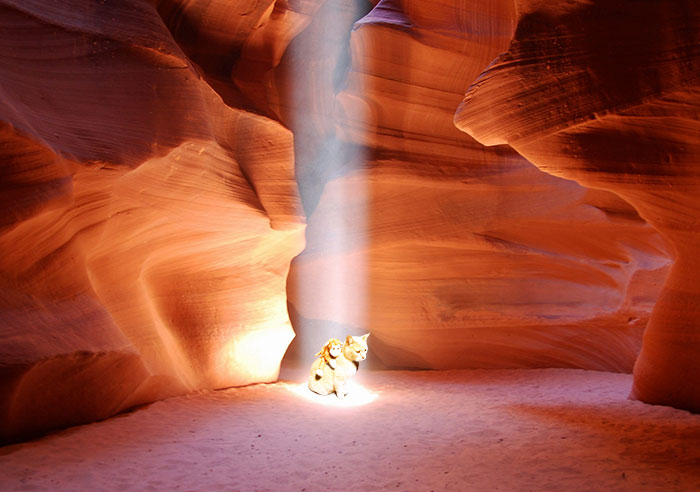 Showering In A Beam Of Light In Antelope Canyon