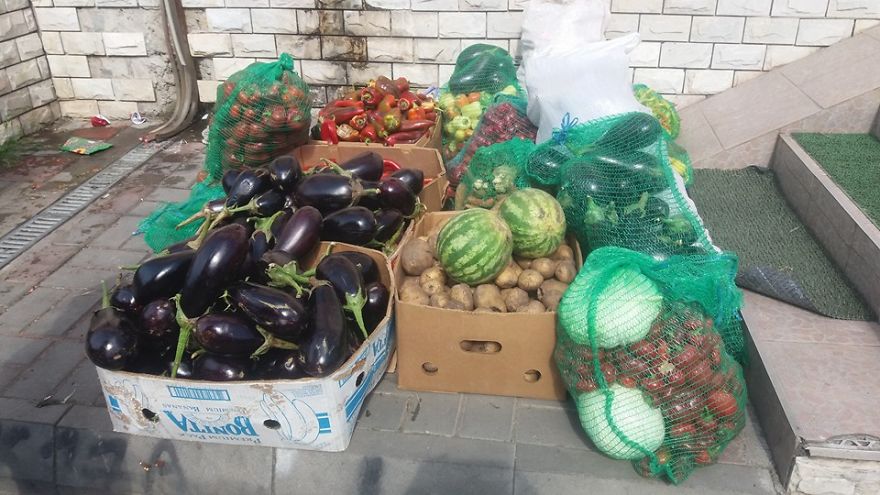 How We Started The Fight Against Food Waste In Aiud, Romania