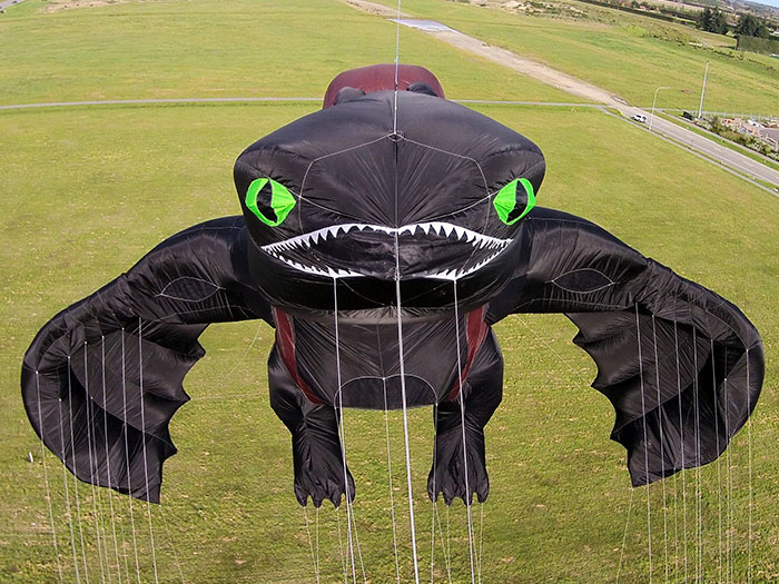 how-to-train-your-dragon-toothless-kite-peter-lynn-4