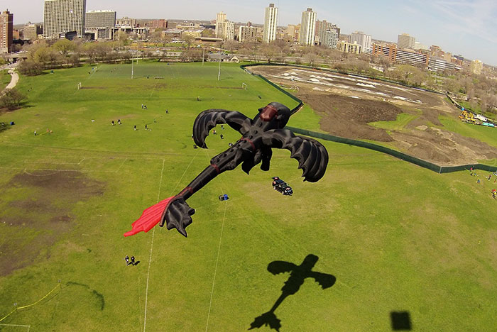 how-to-train-your-dragon-toothless-kite-peter-lynn-8