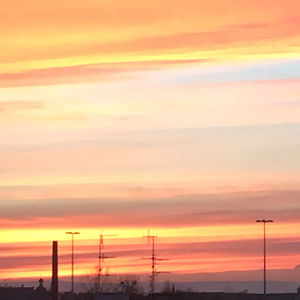 lily-lorenson avatar