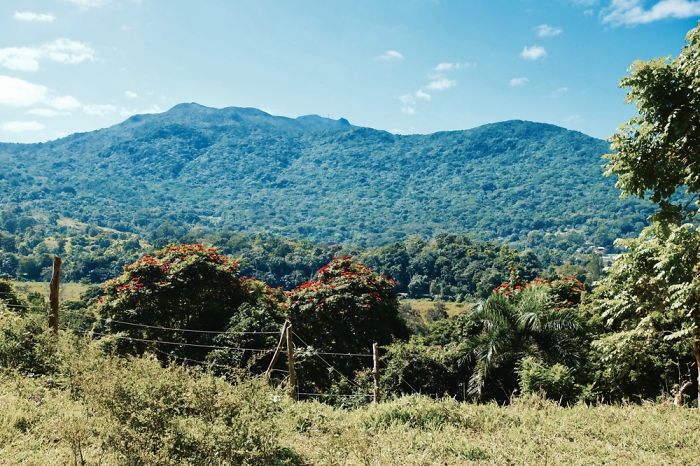 La Vuelta De Puerto Rico La Vuelta De Puerto Rico