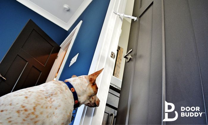 Door Buddy&reg;