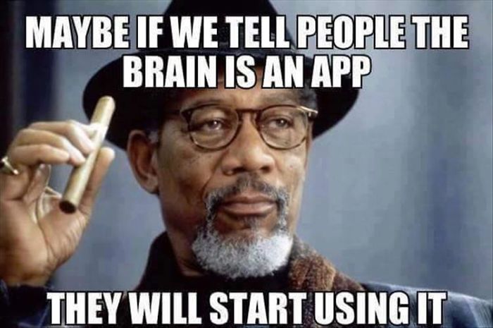 The Brains An App