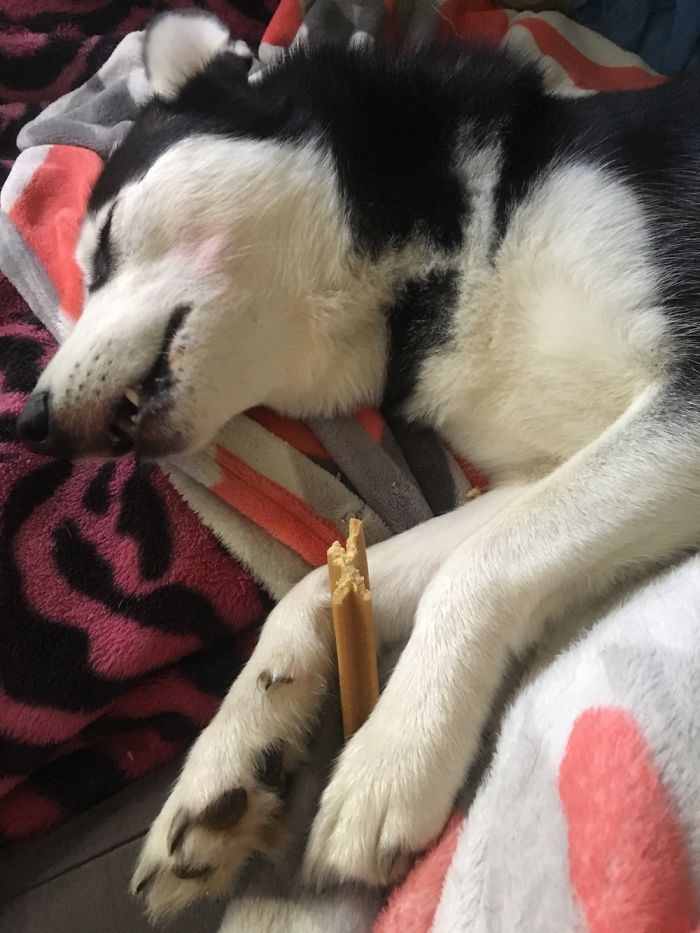Sapphire Loves Snacks
