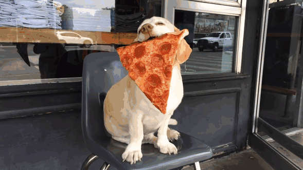 Sid Loves Pizza
