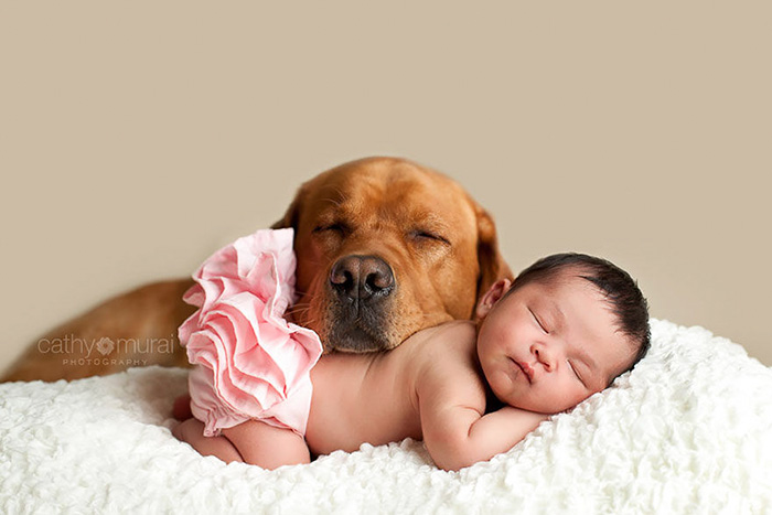 Newborn With Her Protector