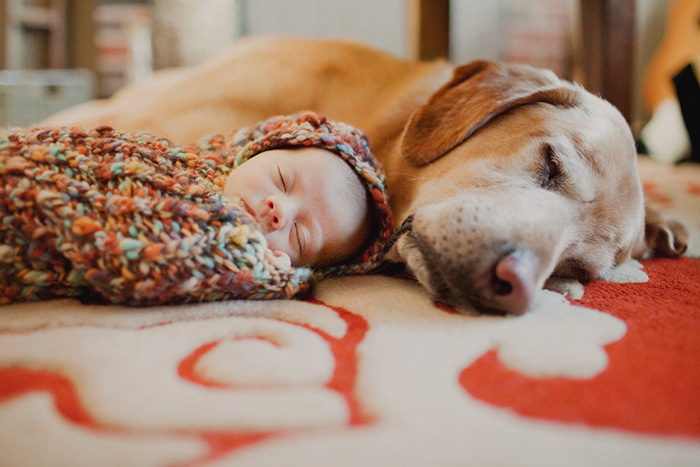Newborn Sleeping With A Dog
