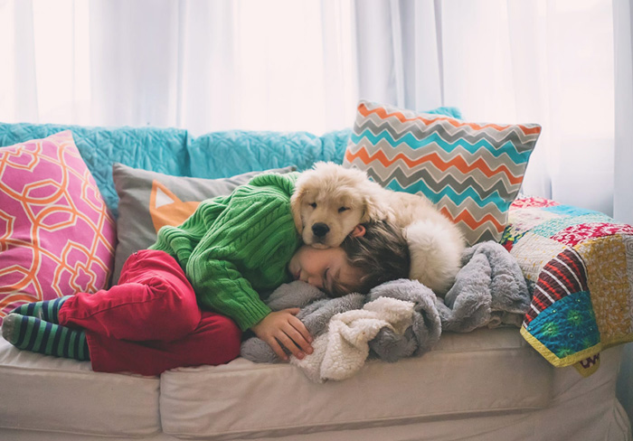 Boy Sleeping On Sofa With A Golden Retriever Puppy