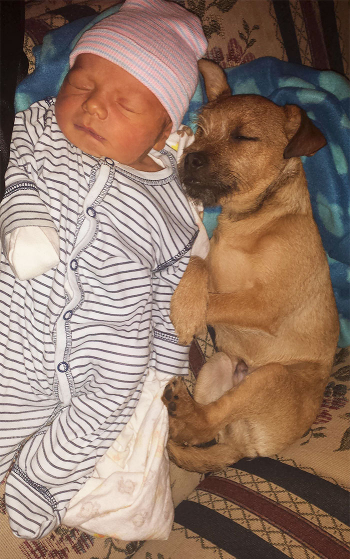 I Think Our Puppy Likes The New Baby