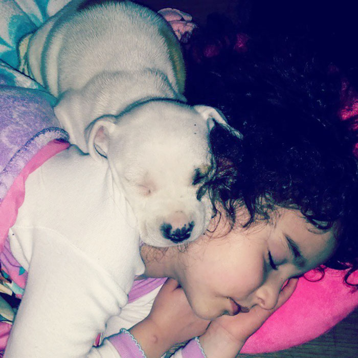 Found Them Both Knocked Out Last Night. Was To Cute To Not Take A Picture