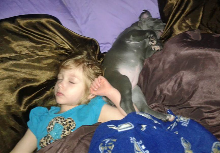 My Daughter Sleeping With Her New Puppy