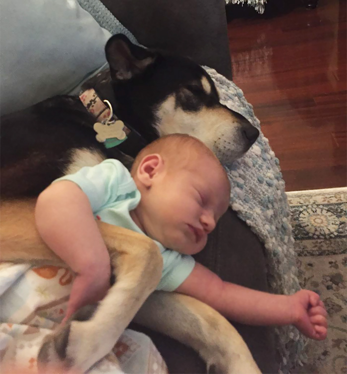 Baby And Dog Slumber Party