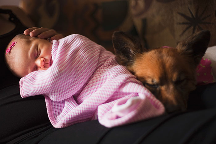 Baby Girl With A Dog Sleeping Close