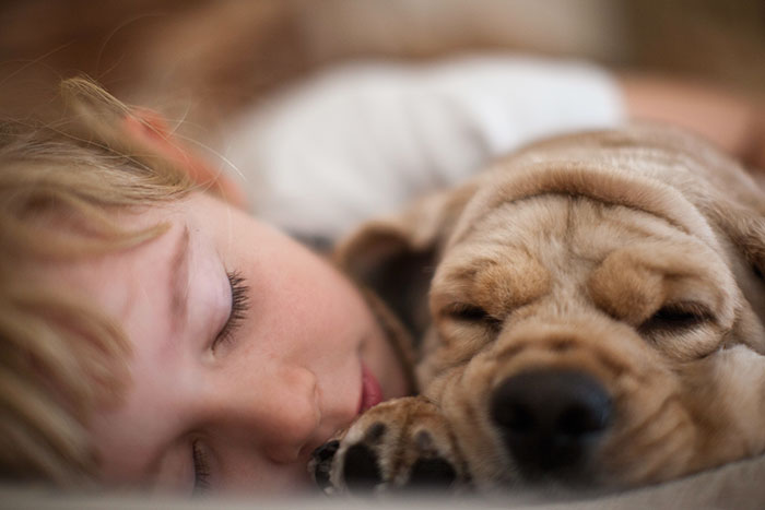 Cute Girl Sleeping With Her Dog