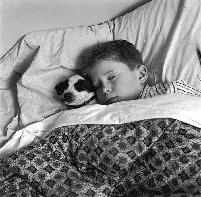 A Young Boy Asleep With His Dog