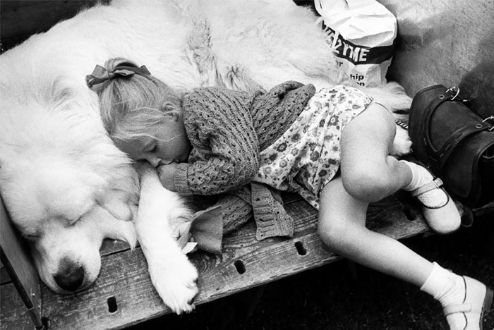 Little Girl Asleep With Her Dog